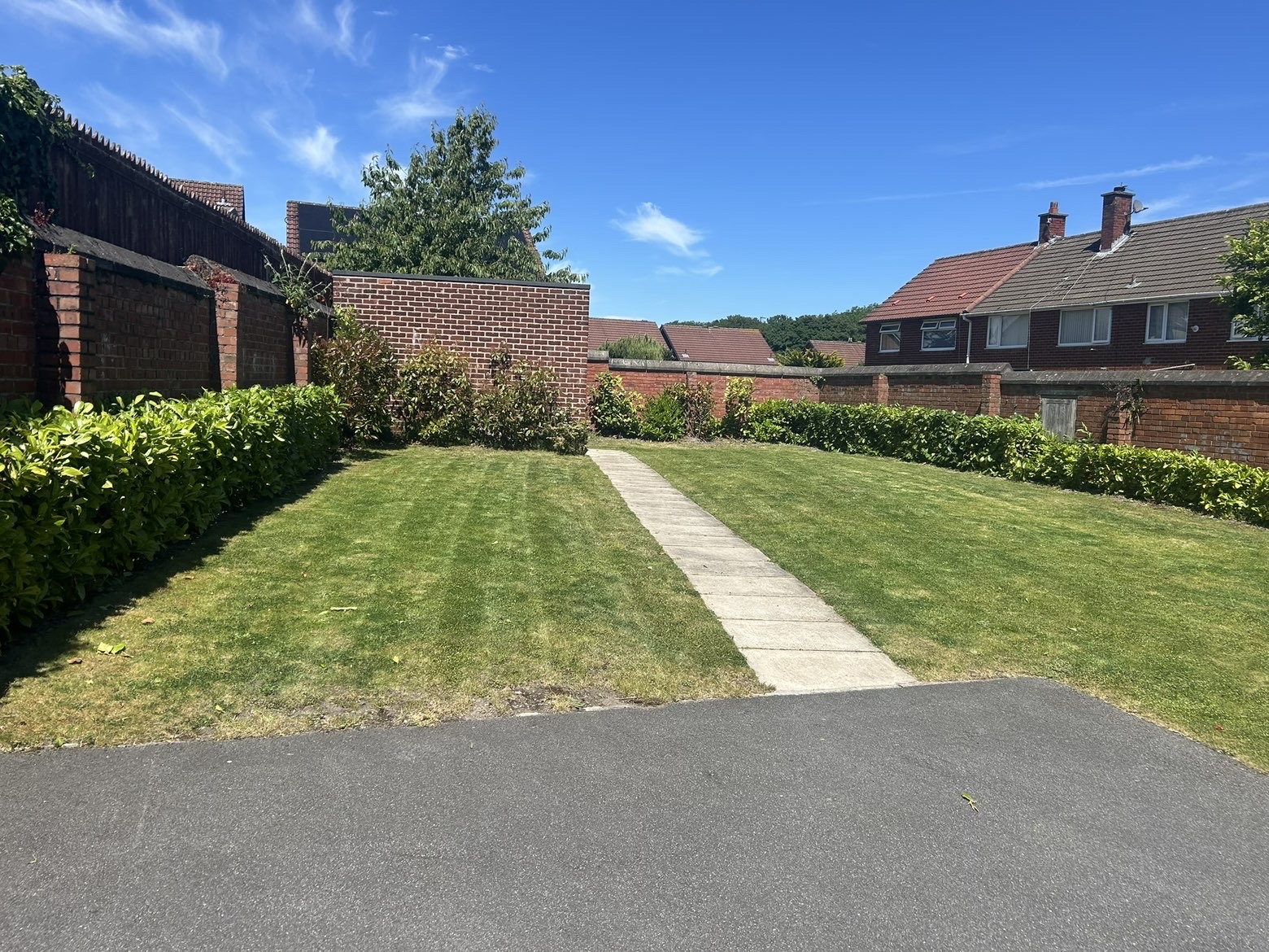 Freshly mowed striped lawn with neat hedges
