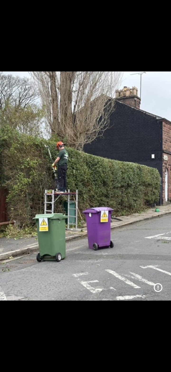 Harry trimming a roadside hedge from a safety platform
